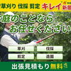 広い敷地や施設のお手入れもお任せください！草刈りから草木の処分まで出張見積もり無料で承ります