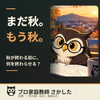 まだ秋。もう秋。