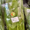 「採れたての新居浜産がずらり！色鮮やかな地元野菜を選ぶ楽しさあふれる青果売り場へ遊びに来ませんか？」