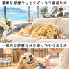 犬にとって、どちらが満たされた毎日だと思いますか？
