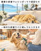 「犬にとって、どちらが満たされた毎日だと思いますか？」