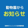「ウインタータイムのお知らせ」