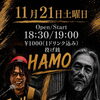 LIVE EVENT at HAMO