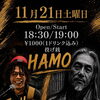 LIVE EVENT at HAMO