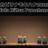 カピリナモキハナ2026①