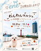 「今週末はわんわんマルシェに出店🐶✨」