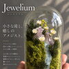 【徳島市】アメジストの滝をイメージしたジュエリウム｜天然石と植物が織りなす幻想的なインテリア