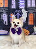 ラムちゃん「Happy Halloween 2026🎃」
