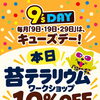 【尼崎】本日10/29はキューズデー！苔テラリウム体験が10％OFF、5,500円→4,950円！