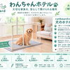 わんちゃんのお預かり始めます【catbeard 札幌市　丘珠空港近く　ペットホテル】