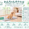 わんちゃんのお預かり始めます【catbeard 札幌市　丘珠空港近く　ペットホテル】