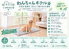 わんちゃんのお預かり始めます「わんちゃんのお預かり始めます【catbeard 札幌市　丘珠空港近く　ペットホテル】」