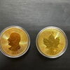 【買取大吉イトーヨーカドー洋光台】　「メイプルリーフ金貨（1オンス）2026年」