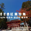 秋の絶景を満喫！和歌山のおすすめ紅葉＆秋の行楽スポット特集