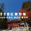 秋の絶景を満喫！和歌山のおすすめ紅葉＆秋の行楽スポット特集