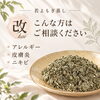 お肌のゆらぎや睡眠のお悩みに♪若よもぎ蒸し「改」で心地よく体を整えませんか？✨