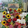 【泉佐野市、貝塚市、熊取町、 日根野】でお住まいの方で社長の就任のお祝いにお花を贈りたい方にオススメの花屋りっちゅ情報