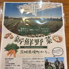 土づくりと丁寧な栽培への想い♪茨城県境町の農家「株式会社ENCORE」さんをご紹介！
