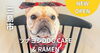 「三島市中に「ツナヨシ DOG CAFE & RAMEN」がオープン！」