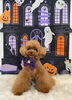 エマちゃん「Happy Halloween 2026🎃」