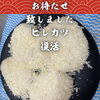 北習志野のしゃぶしゃぶ・とんかつ・居酒屋｜お待たせしました、ヒレカツ復活｜土曜ディナー満席・本日金曜と日曜はお席に余裕あり｜船橋の宴会・忘年会も
