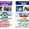 かすみがうら市水族館週末イベント📢✨ウーパールーパー&リクガメ