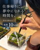 「【尼崎】仕事帰りに苔テラリウムづくり？JR尼崎駅直結、平日18時からの90分体験」