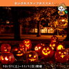 10/31(土)〜11/1(日)開催！今週末の徳島イベント8選を公式Instagramでご紹介中