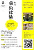 「予約受付中🌼枚方菊染体験【デルッソ】」