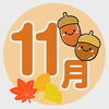 11月の予定