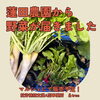 蓮田農園から美味しい野菜が届きました🌱