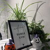 【SURGE GYMの入口が、ハロウィン仕様になりました🎃👻】