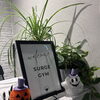 【SURGE GYMの入口が、ハロウィン仕様になりました🎃👻】