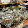 今日はハロウィンですね！