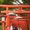 函館で子どもの記念写真・七五三なら貸衣裳だてや✨神社ロケーション撮影で残す自然な笑顔と表情👘⛩️
