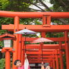 函館で子どもの記念写真・七五三なら貸衣裳だてや✨神社ロケーション撮影で残す自然な笑顔と表情👘⛩️