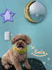 「今日のわんこちゃん♡Dog salon mofu mofu余市町」