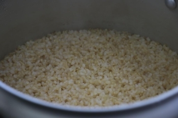 講義を受けているうちに、玄米ご飯が炊きあがりました。