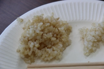 炊きたての発芽玄米ご飯です。（筆者は初体験でしたが玄米ご飯よりやや粒々感があるようですが違和感は無しでした。）