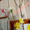 桃の花にカーネーションとスイートピー☆「春はすぐそこに♡プチ花見もお楽しみくださいませ★」
