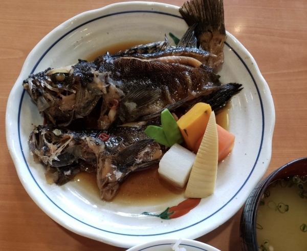 「一魚一会　本日のおすすめランチ」