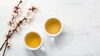 「ちらし寿司とひなあられと一緒に煎茶を飲もう！」