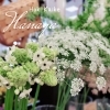 「【はなやホック皆生店】春の花々」