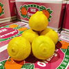 「愛知県産「はるか」です✨」