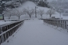 「本日も大雪にご注意ください」