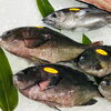 「魚魚市場鮮魚コーナーおすすめは「クロ・シビマグロ」です♪」