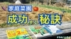 「【家庭菜園に向けての提案】ソラマメの種まきの違いと追肥作業　タネのハシモト」