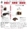 「西条市の蔵元『成龍酒造』さんの美味しい粕漬けが入荷しました！」