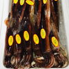 「魚魚市場鮮魚コーナーおすすめは「スルメイカ」です」