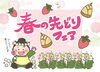 「今年もクック・チャムに春が来た～♪」